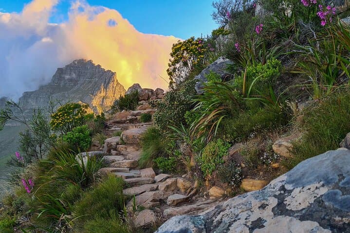 Lion's Head Hike: Sunrise Views and Coastal Vistas Above Cape Town photo 3