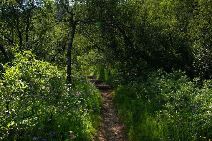 Private Hiking Tour in Thorsmork Valley: Full-Day 4x4 and River-Crossing Adventure photo 5