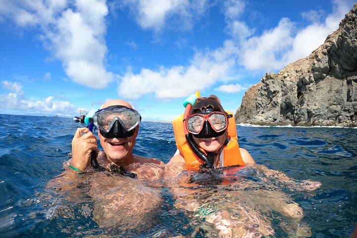 Tenerife Kayak & Snorkel Safari — Paddle to Pal Mar Cave and Spot Dolphins photo 2