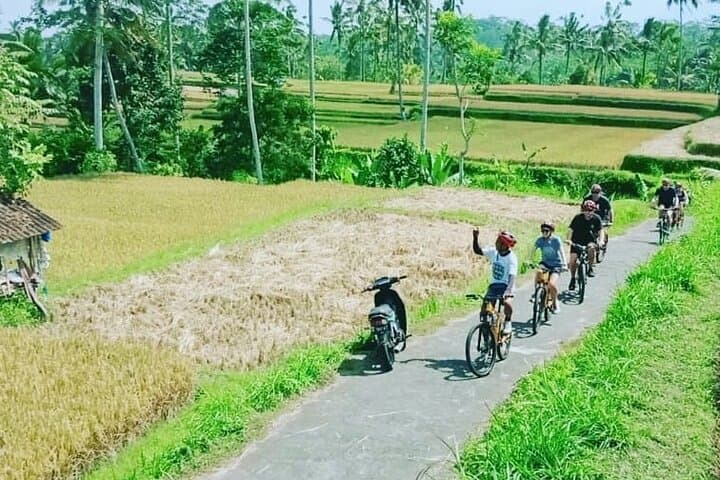 Kintamani-to-Ubud Downhill Cycling: Rice Terraces, Temples & Volcano Views photo 4