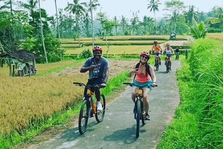 Kintamani-to-Ubud Downhill Cycling: Rice Terraces, Temples & Volcano Views photo 5