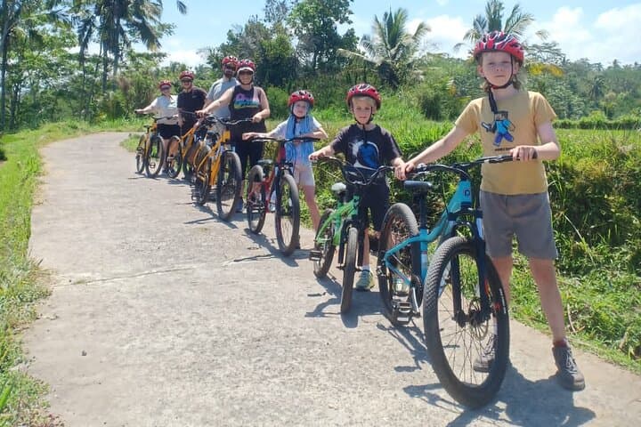 Kintamani-to-Ubud Downhill Cycling: Rice Terraces, Temples & Volcano Views