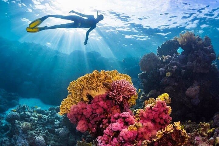 Snorkel the Blue Hole & Explore Ras Abu Gallum: Day Tour from Dahab photo 3