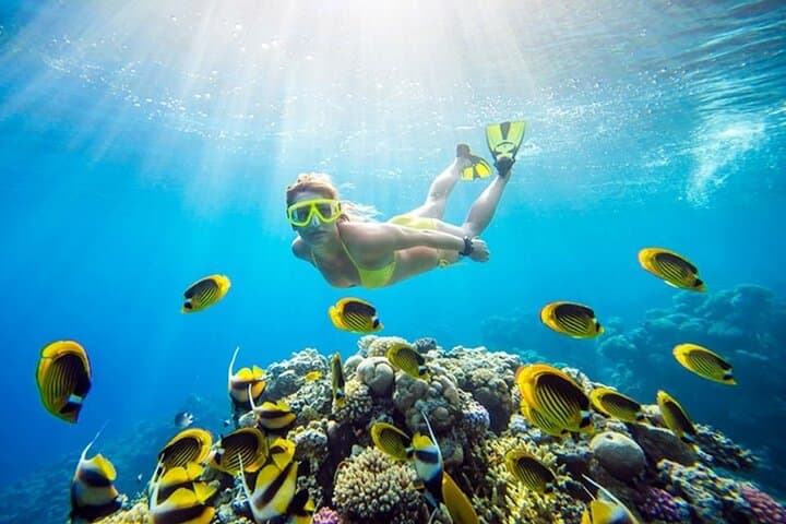 Snorkel the Blue Hole & Explore Ras Abu Gallum: Day Tour from Dahab photo 6