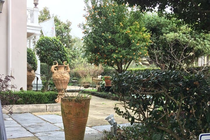 Garden District Highlights: 45-Minute Walking Tour of New Orleans’ Historic Mansions photo 3