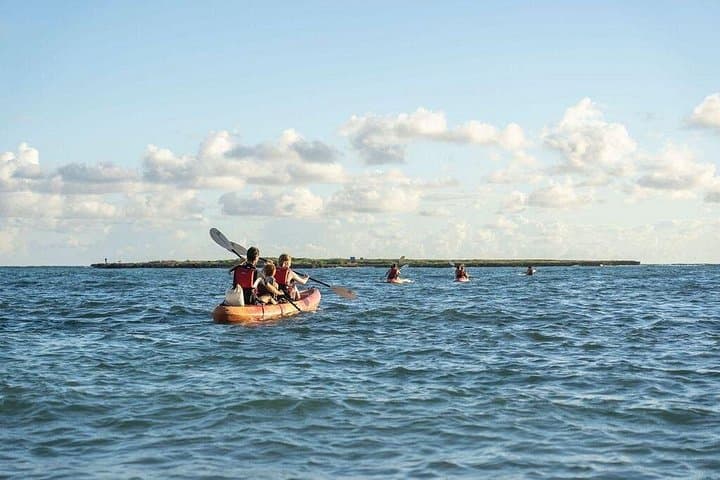 Self-Guided Kayak to Popoia Island: Kailua Bay Paddle, Turtles & Shearwaters photo 3