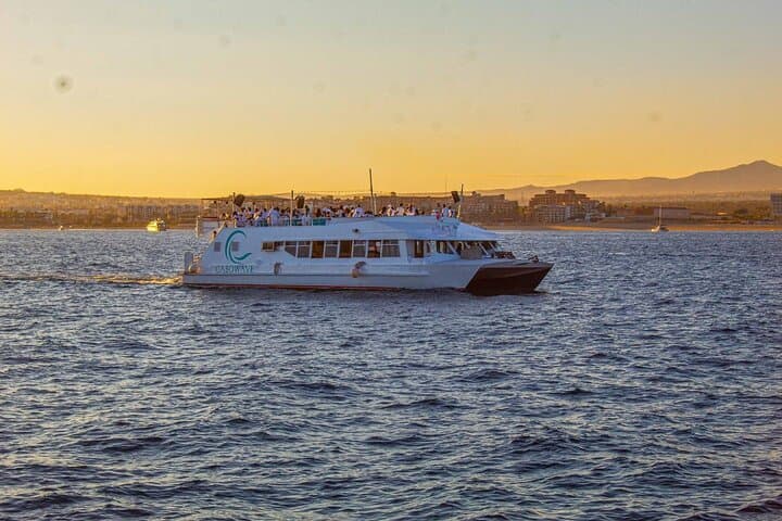 Cabo San Lucas Sunset Cruise to Land's End with Dinner and Open Bar photo 5