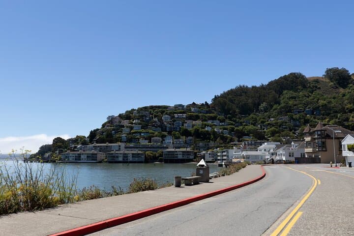Muir Woods & Sausalito Morning Tour from San Francisco photo 4