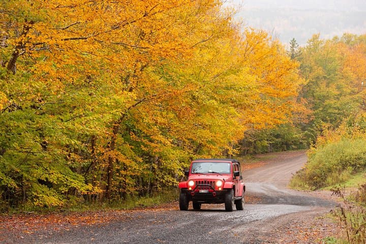 Cabot Trail Jeep Adventure: Private Cruise-Port Jeep Excursion on Cape Breton photo 2