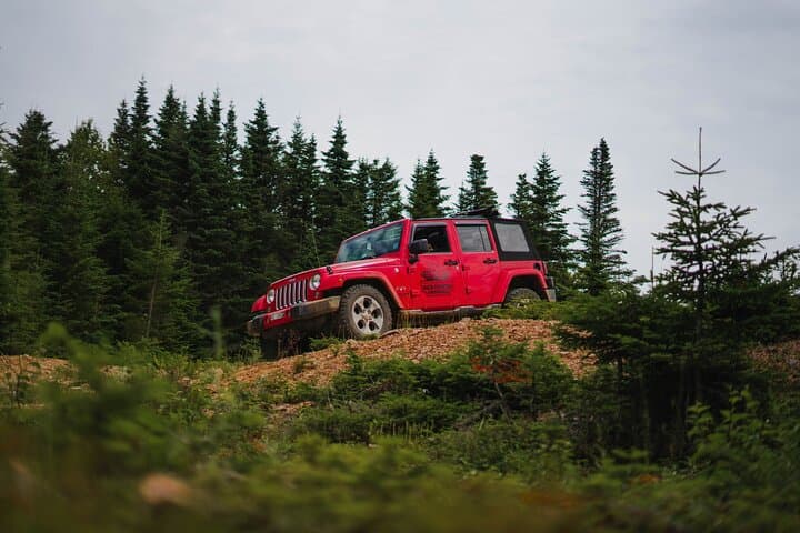 Cape Clear Look-off Express: Private Jeep Tour to Margaree Valley Panoramas photo 4