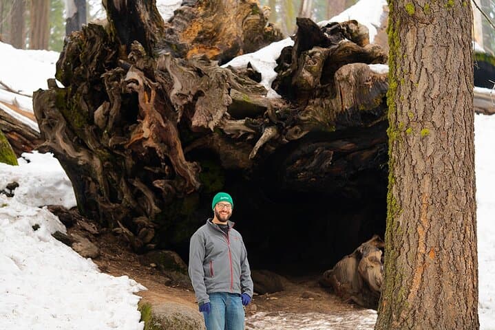 Heart of the Giant Forest Guided Hike to the General Sherman Tree photo 5