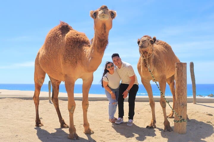 ATV and Camel Ride Combo at Migriño Beach — Dunes, Desert & Pacific Breeze photo 2