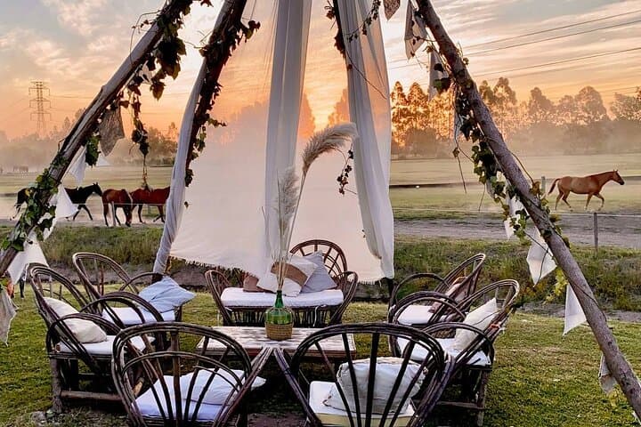 Private Full-Day Polo and Nature Experience in Pilar, Argentina