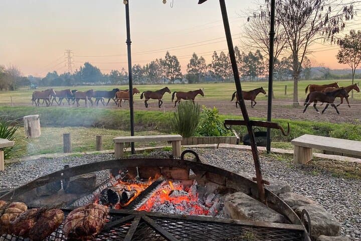 Private Full-Day Polo and Nature Experience in Pilar, Argentina photo 3
