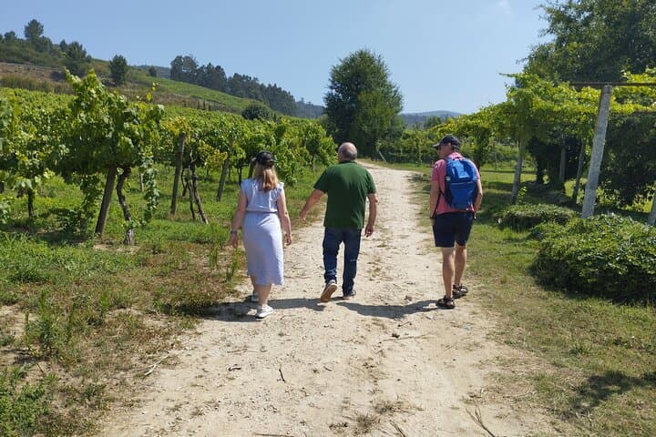 Douro Valley Private Wine Tour: Vinho Verde Quintas & Rabelo Boat Experience photo 6