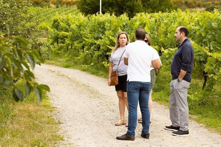Douro Valley Private Wine Tour: Vinho Verde Quintas & Rabelo Boat Experience photo 5