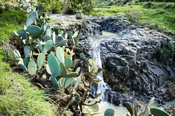 Etna Water Trek to Cascate di Ossena: River Wading and Lava Pools Near Catania photo 6