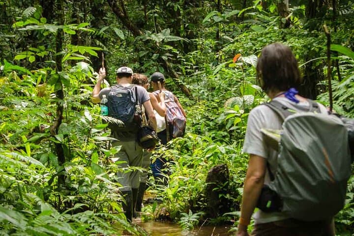 Full Jungle Experience Tour from Leticia — 3-Day Amazon Trek, Maloca & Flooded-Forest Lodge