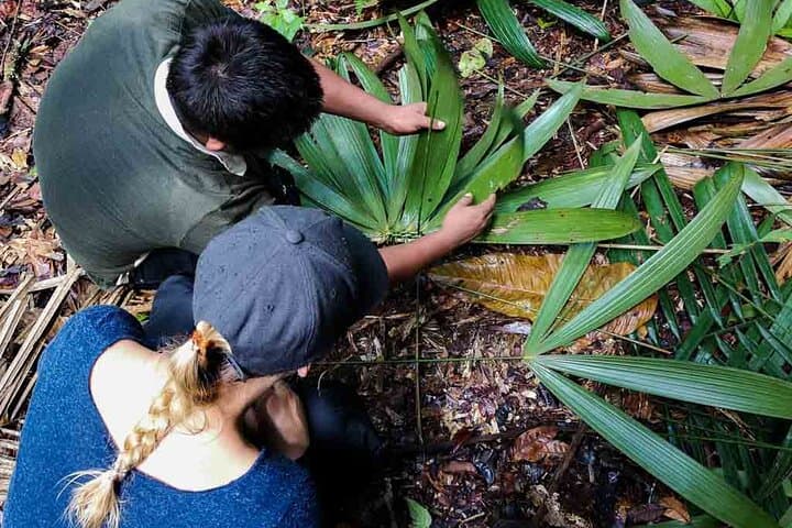 Full Jungle Experience Tour from Leticia — 3-Day Amazon Trek, Maloca & Flooded-Forest Lodge photo 2