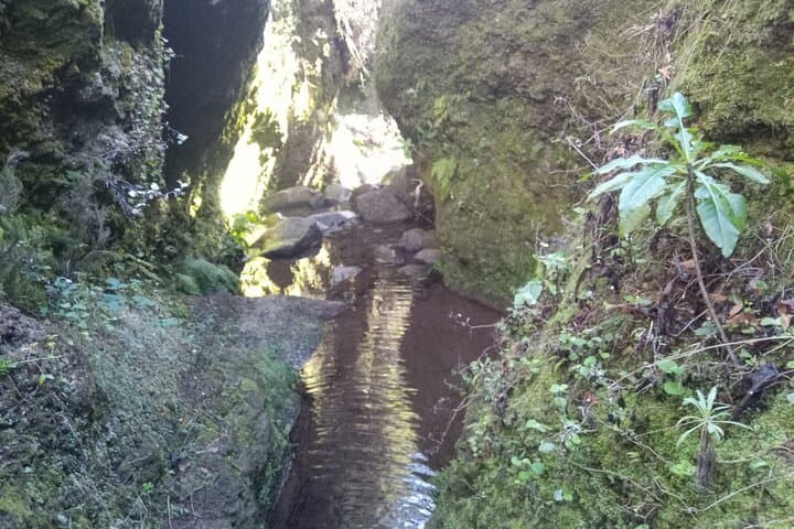 Laurissilva Canyoning: Private Waterfall Descents from Funchal photo 5