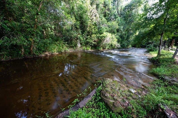 Phnom Kulen Waterfalls & Kampong Phluk: Siem Reap One-Day Private Tour photo 5