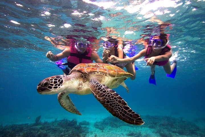 San Juan Guided Snorkeling: Beginner Shore Snorkel with Transport and Turtle Spotting photo 1