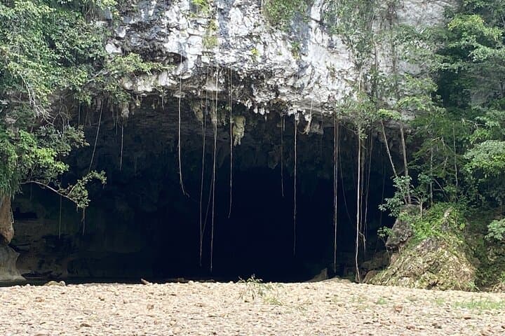 Cave Tubing in Belize with Howler Monkey Encounter at Community Baboon Sanctuary photo 4