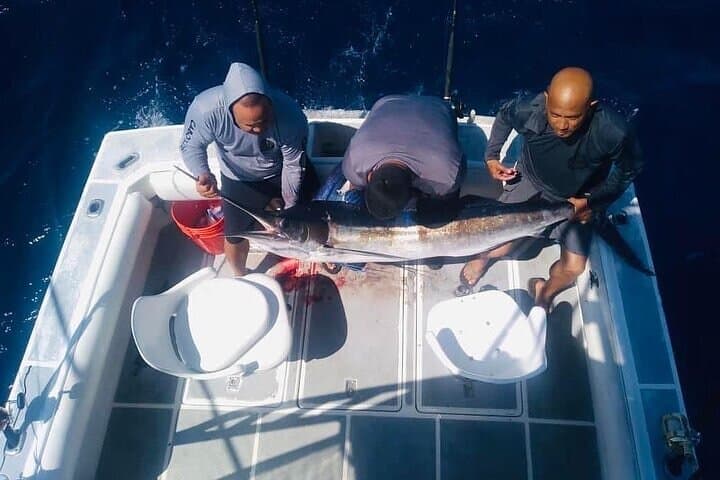 Ultimate Cabo San Lucas Full-Day Fishing Charter photo 4