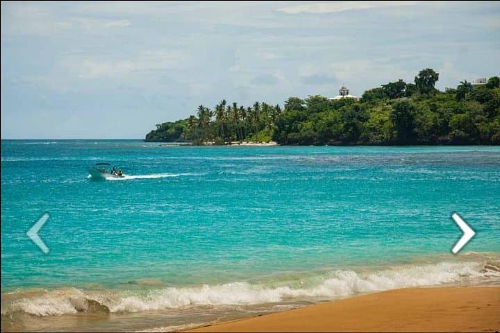 Saona Island Day Trip from Punta Cana — Snorkeling, Natural Pools & Beach Lunch photo 3