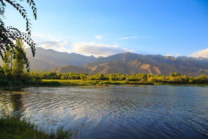 Half-Day Private Tour to Issyk Lake from Almaty — Scenic Issyk Gorge Excursion photo 6