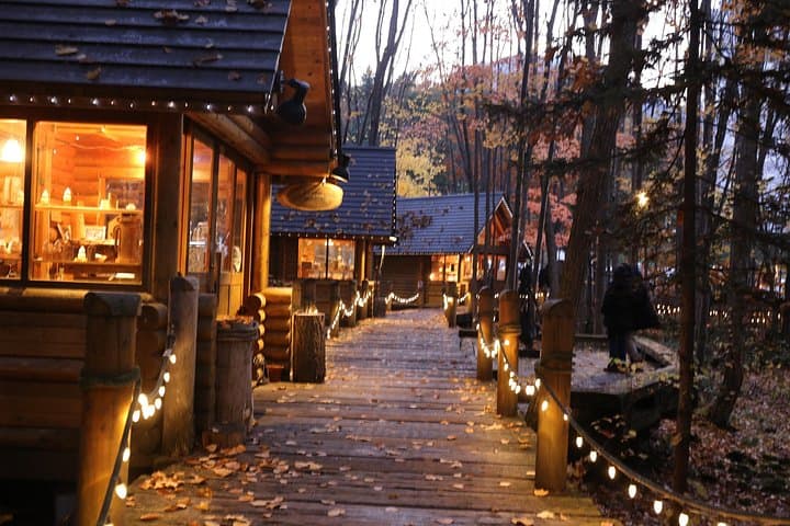 Sapporo Day Trip: Asahiyama Zoo, Blue Pond, Shirahige Falls & Ningle Terrace photo 4