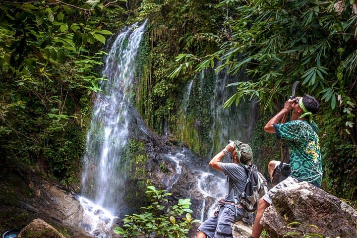 Khao Lak Expedition from Phuket: Jeep Safari, Bamboo Rafting & Turtle Sanctuary Day Trip photo 3