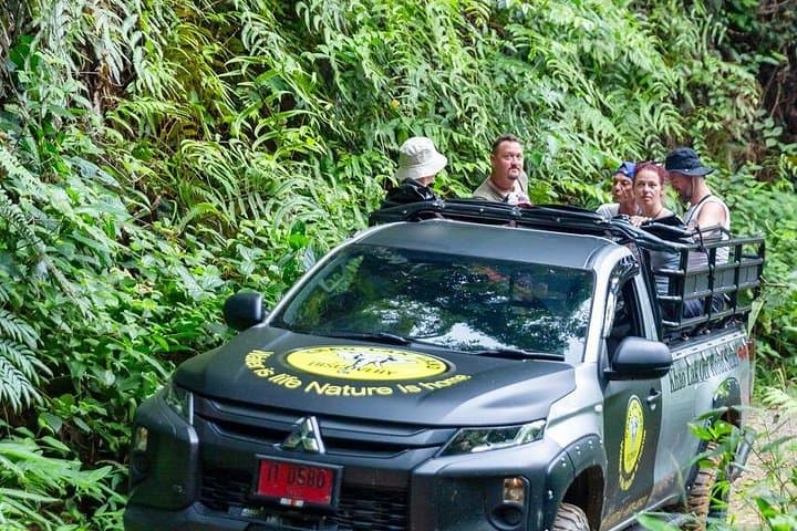Off-Road Safari Khao Lak: Mangrove Canoe, Waterfall Swim & Jungle Jeep Ride