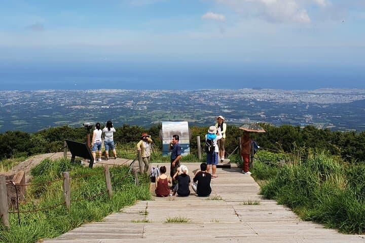Experience Jeju Island’s South Course: A Premium UNESCO Small Group Day Tour