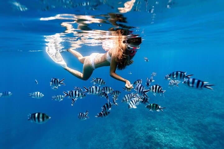 Full-Day Private Zanzibar Tour – Snorkel Mnemba, Turtle Pools & Kendwa Sunset photo 5