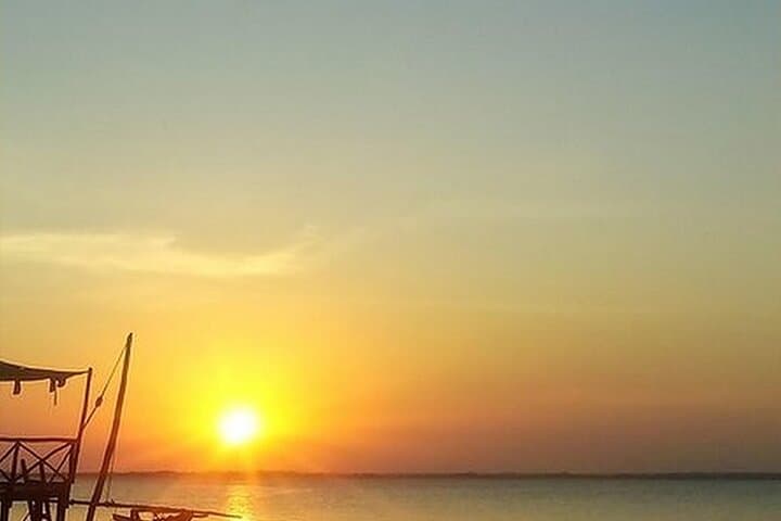 Full-Day Private Zanzibar Tour – Snorkel Mnemba, Turtle Pools & Kendwa Sunset photo 6