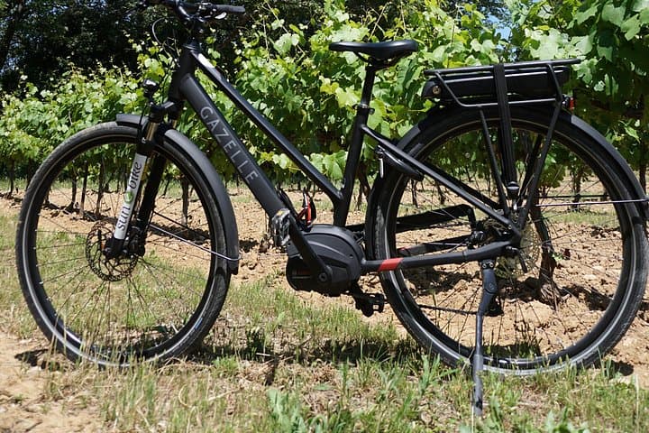 Full-Day E-Bike Adventure in the Alpilles from Saint-Rémy-de-Provence photo 4