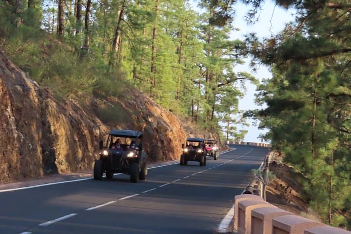 Private Sunset Buggy Tour to El Teide National Park — Evening Drive from Tenerife South photo 4