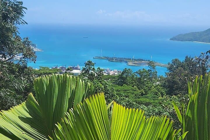 Historical Essences Private Tour — Victoria, Mahé: Clock Tower, Market & Marine Park photo 2