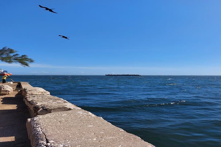 Kingston City Experience: 4–5 Hour Cultural Tour with Lunch photo 2