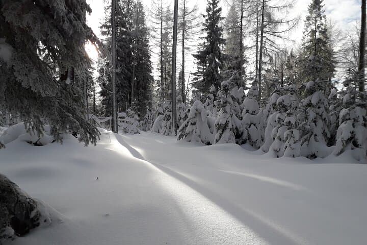 Private Snowshoe Hike in the Gorce Mountains near Krakow photo 2