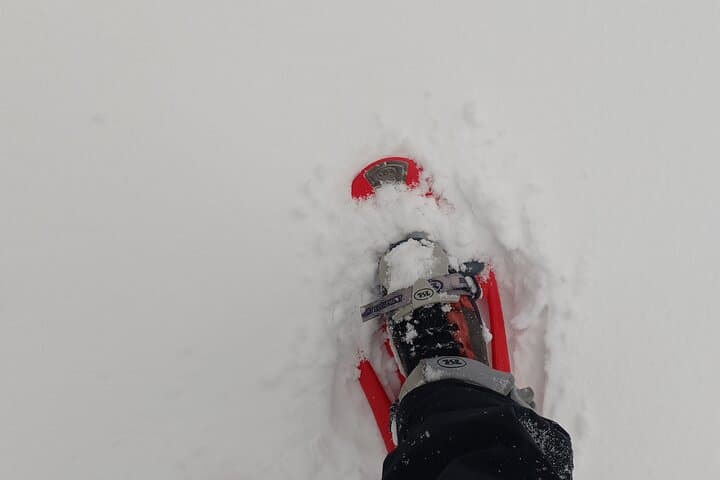 Private Snowshoe Hike in the Gorce Mountains near Krakow photo 5
