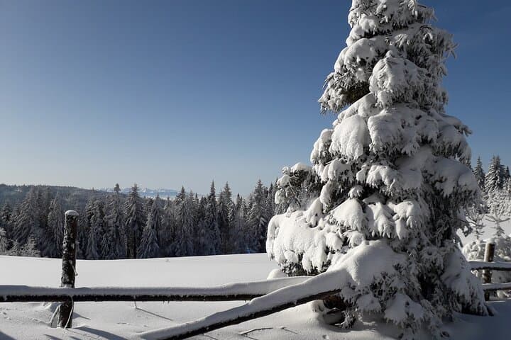 Private Snowshoe Hike in the Gorce Mountains near Krakow photo 3