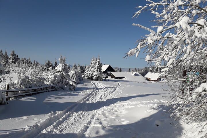 Private Snowshoe Hike in the Gorce Mountains near Krakow