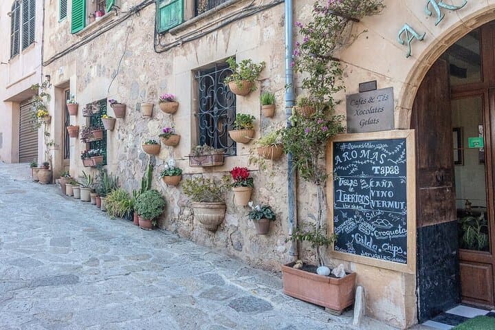 Sóller and Valldemossa Private Tour: Guided Day Trip from Palma with Cartuja Entry