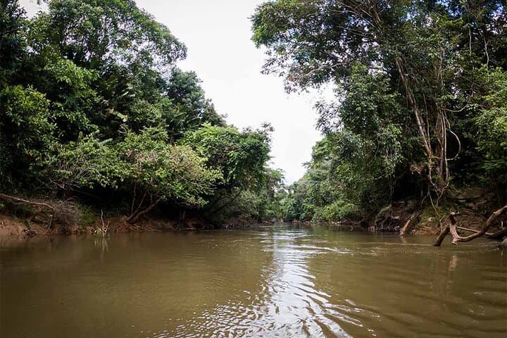 Into the Amazon: 4-Day Deep Jungle Survival Experience from Leticia photo 6