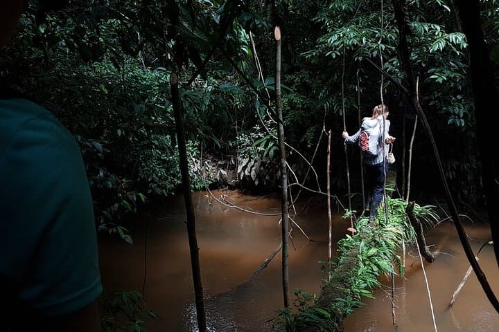 Into the Amazon: 4-Day Deep Jungle Survival Experience from Leticia photo 4
