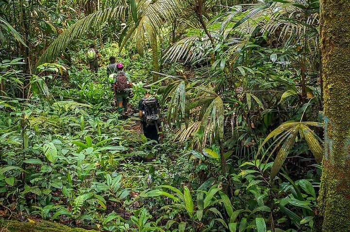 Into the Amazon: 4-Day Deep Jungle Survival Experience from Leticia photo 2