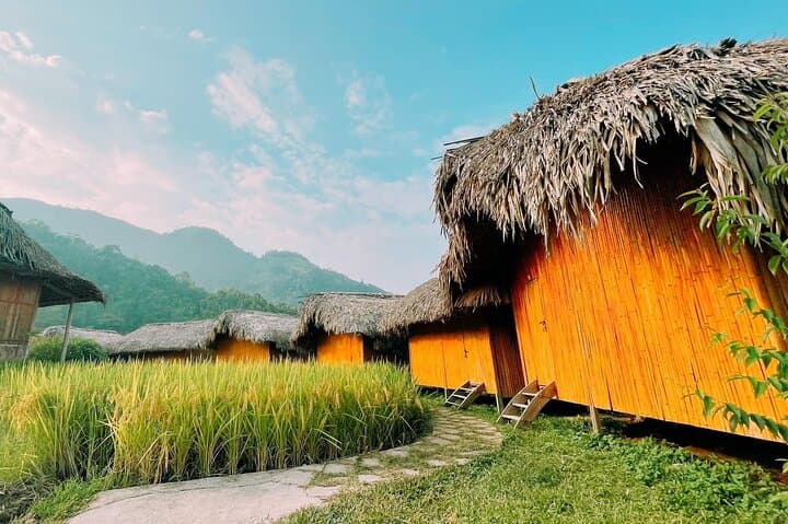 Hoang Su Phi 2-Day Homestay & Terraced Rice Fields from Ha Giang City photo 4