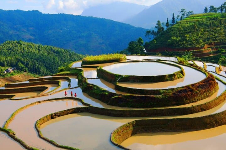 Hoang Su Phi 2-Day Homestay & Terraced Rice Fields from Ha Giang City photo 5